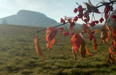 NaturflairHaus - Foto 19