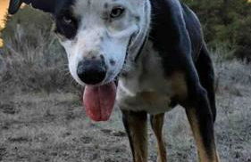 Pacific Coast Hwy Bunkhouse in San Luis Obispo - Foto 31