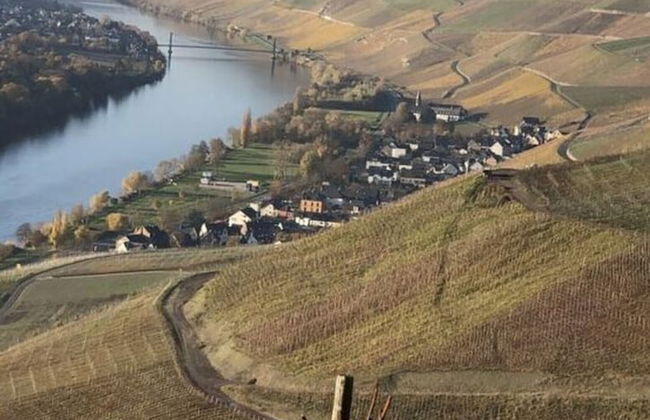 Uitzicht op de Wijngaard - Photo 11