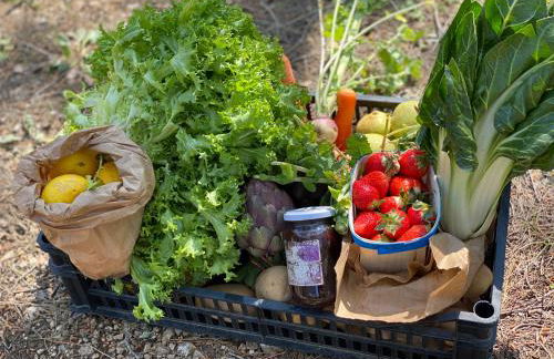 Villa Claudia Domaine les Palmiers - Foto 8