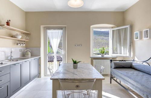 Ciabot delle Aie - Barolo - Foto 29