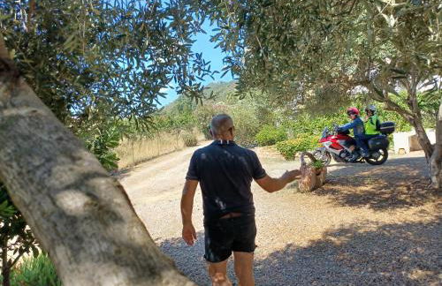 Casa Museddu - Foto 24