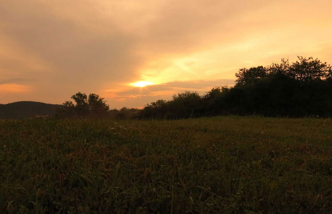 Wonderful Apartment With Barrel Sauna - Foto 28