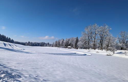 Geigerhof Bad Heilbrunn - Foto 6