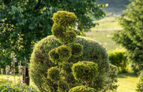 Wellnessparadies mit Sauna und Whirlpool - Foto 64