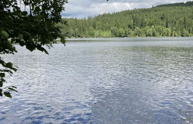 Appealing Apartment in Lenzkirch - Foto 26