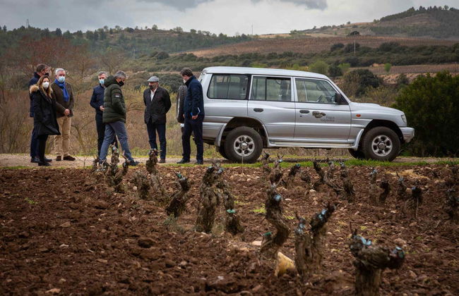 Visita a la finca Valpiedra - Foto 7