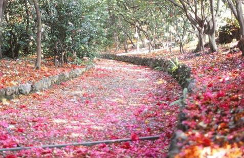 La casa di Andrea - Foto 11