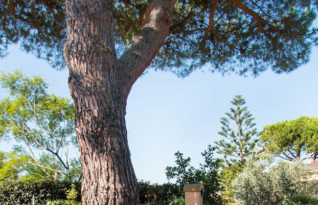 Villa Giolù - Foto 60