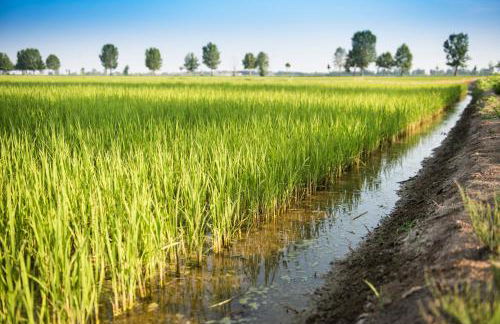 Agriturismo LeColombare - Photo 40