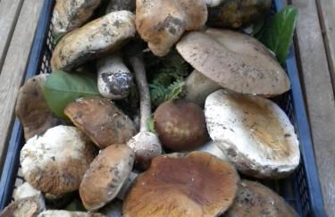 Agriturismo La Dimora Del Contadino - Photo 73