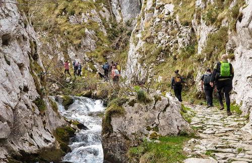 La Gaitona d'Aller - Apartamentos Cabañaquinta - Foto 42
