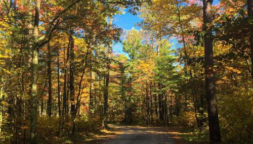 Camp Farrell House - Foto 5