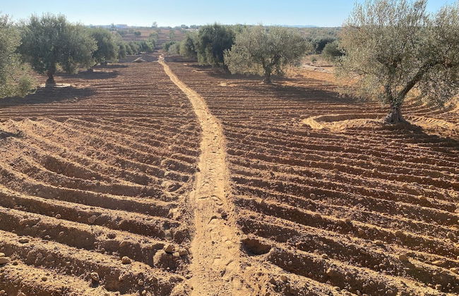 Cheerful 2-bedroom Villa With Pool - Foto 12