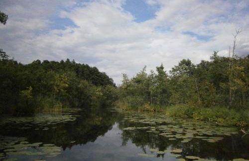 Große Loft im Naturschutzgebiet mit eigenem Garten - Photo 60