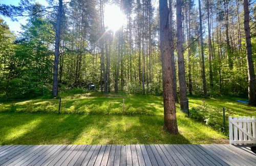 Masz Ci Las - Photo 24