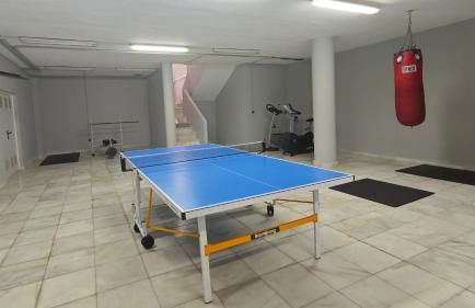 Flamenco Rose - Photo 42