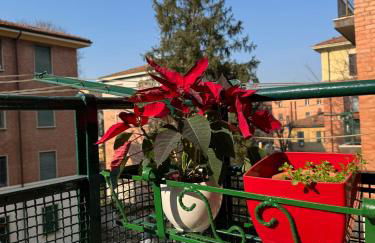 Bologna Fiera - Train Station Apartment - Free parking - Foto 16