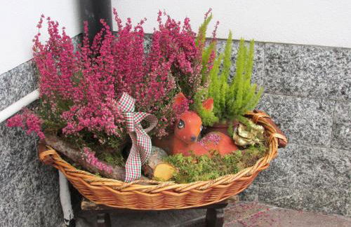 Casa Bamby - Foto 76