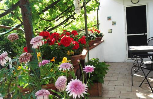 Le Mimose - Photo 68