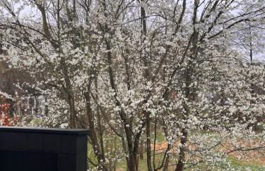 Gästehaus Sille in Morsbach - Holpe - Foto 24