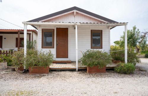 Agriturismo Macchia di Riso - Foto 27