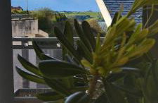 Mirador de Usil - Foto 2