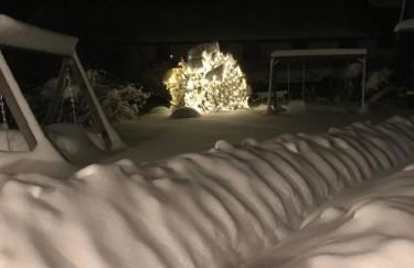 Zum Dammerbauer - Photo 36