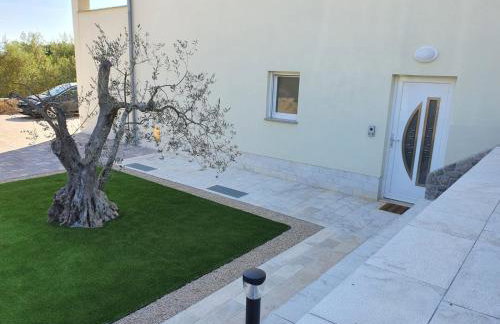 Apartman Ivana - Foto 13