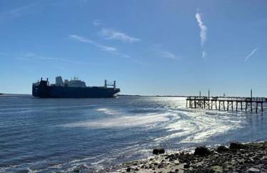 Downtown- Sunshine Cottage and Golf Cart - Foto 48