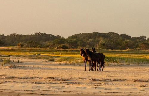 Amelia Island Oceanfront Condo - Foto 40