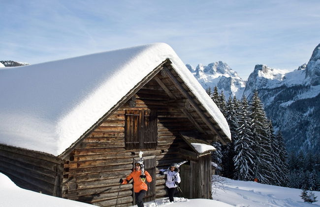 Cozy Apartment in Gosau With Shared Sauna - Foto 20