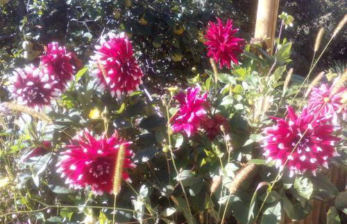 Casa Villamana - Photo 51