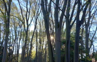 Vivila - Al Lucernario - Foto 28