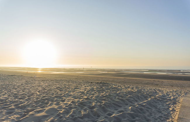 Ster Der Zee On Sea Shore - Foto 20