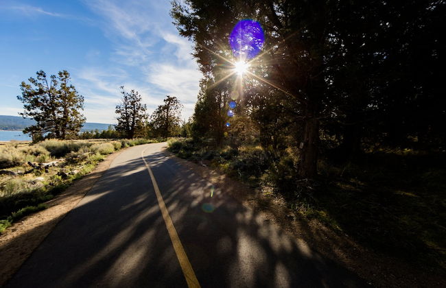 Sugar Chalet #2157 - Photo 9