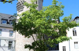 Haus am Stadtturm - Foto 128