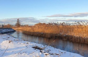Ferienwohnung "Backsteinhaus Starkow" - Foto 25