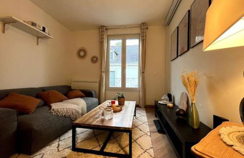 T3 cinéma - Centre historique, bord de Loire - Foto 12