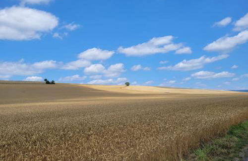 Großes Haus mit Garten, Sauna, Flügel, Kamin uvm - Photo 36
