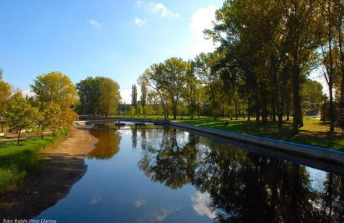 Vivienda uso turistico El Vie - Photo 17