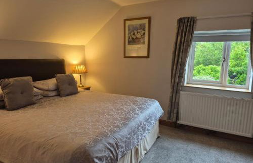 The Roaches - Foto 19