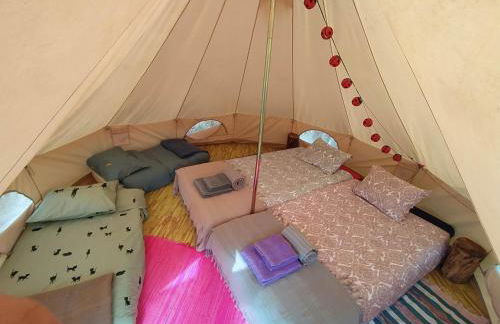 Herdade da Hera - Foto 18