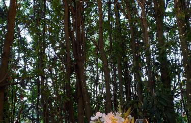 Podere Gli Olmi - Foto 16