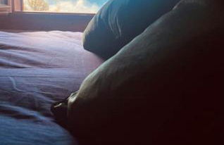 Cocon à la vue imprenable ! - Foto 15