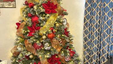 My house your house - Foto 2