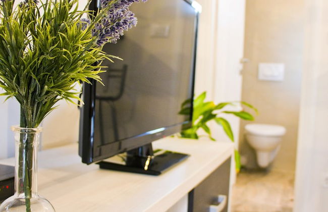 Veig Palace - Foto 11