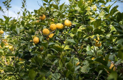 Beachfront house Thalassography - Foto 18