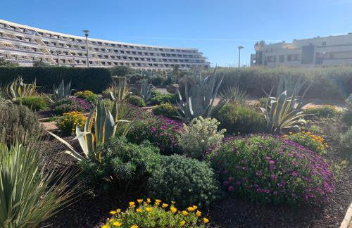 BAGATELLE NATURISTE HELIOPOLIS clim ascenseur vue mer parking privé - Foto 20