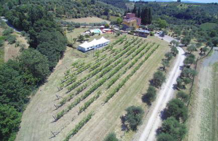 Agriturismo Ai Mandrioli - Foto 10